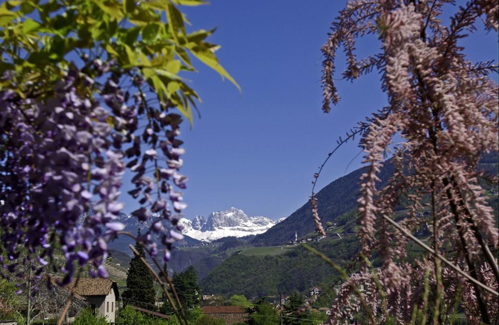 Hotel Rentschnerhof Bolzano Bagian luar foto